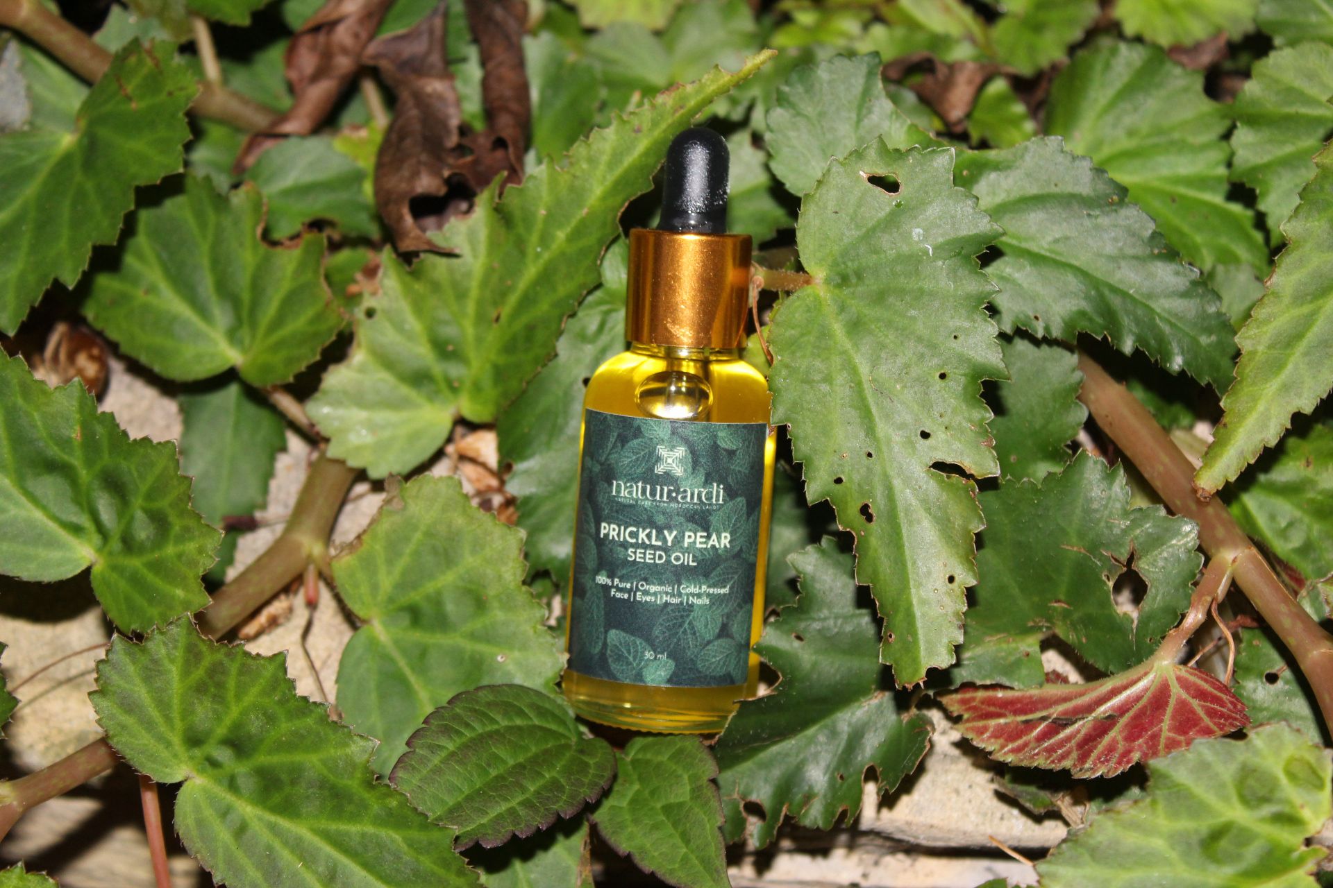Prickly Pear Seed Oil “The Elixir” - Image 2